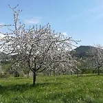 Vordere Alm *