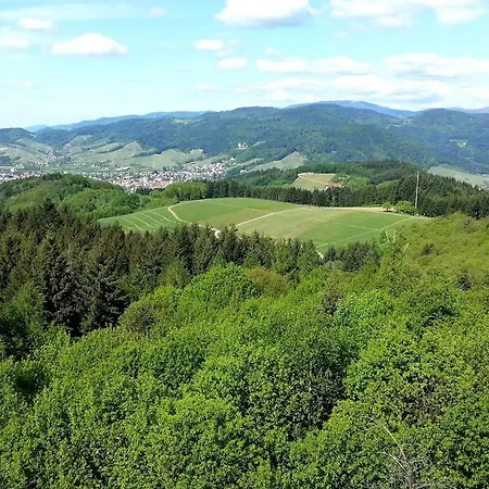 Vordere Alm شقة *