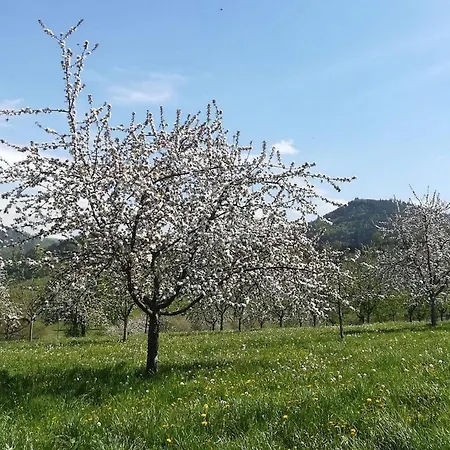 Vordere Alm Apartment
